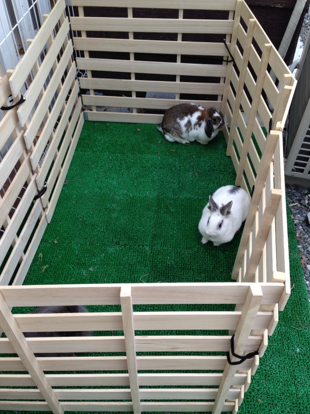 移動動物園 カントリーファームがやってくるっ!!