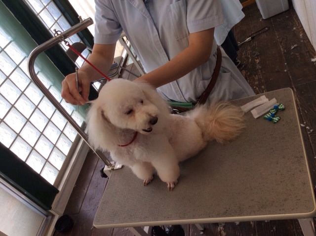 8月の授業風景✂