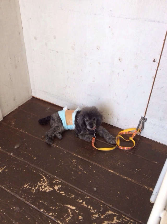 8月の授業風景✂