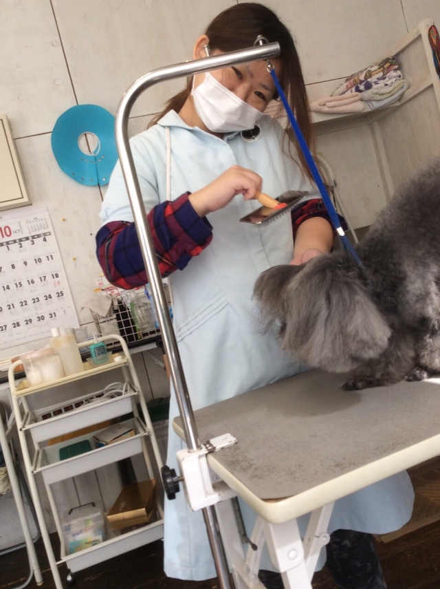 長泉校の様子です!