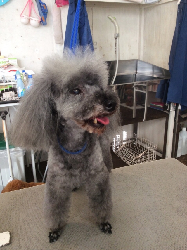 長泉校の様子です!