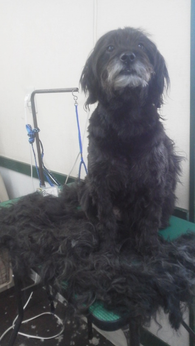 こんなにとれます!!