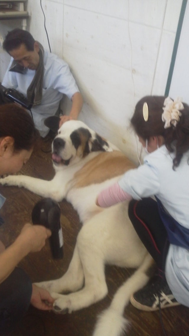 貴重な体験ができました!!