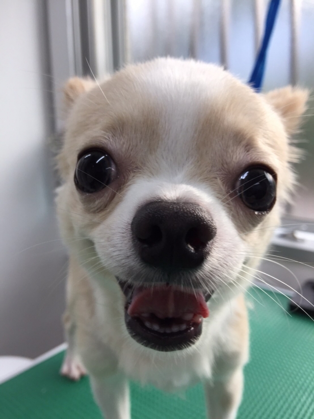 定員わずかとなりました!!