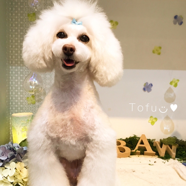 今年も沢山の生徒が全国から入学手続きされています!