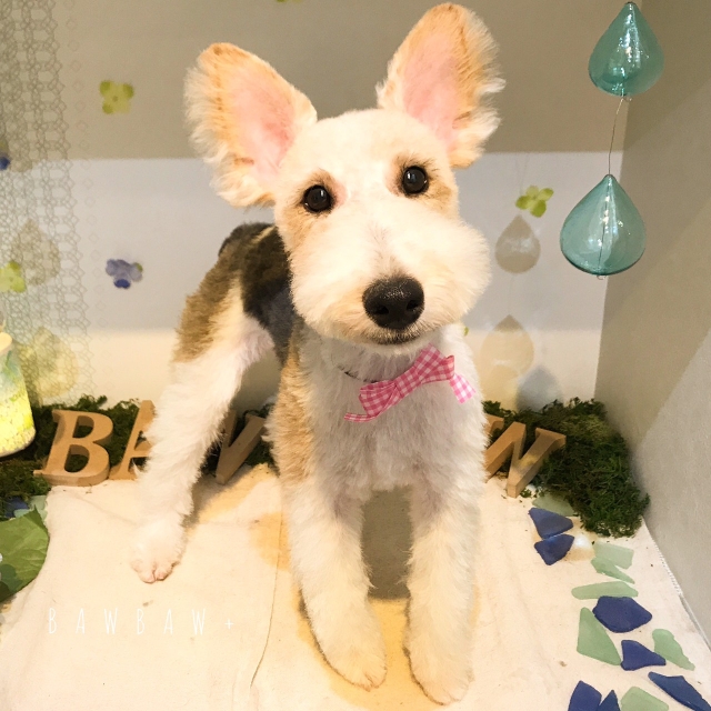 学校見学に出かけてみよう!!