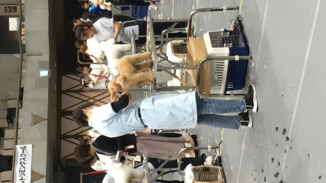 カットコンテストに参加!!