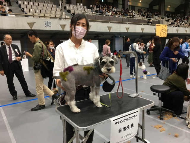 カットコンテストに参加!!