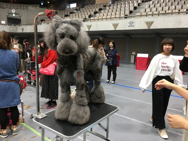 コンテストで勉強になりました!