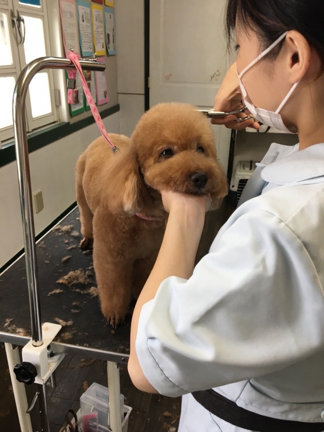 2020年、生徒募集が始まりました!!