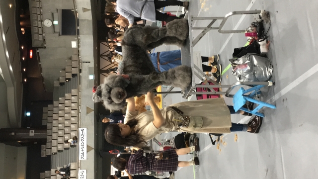 プロトリマー社会人さん応援キャンペーン!!