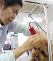 沼津校 【Hさん】 プロトリマー1級・小動物看護士・社会人クラス